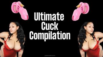 ULTIMATE CUCK COMPILATION - Dec 18, 2021