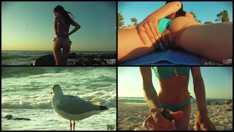 Risky Public Blowjob On The Beach Travel Diaries Pt1