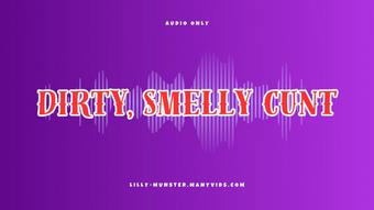 Audio - Talking About My Dirty, Smelly Cunt Makes Me Cum - December 09, 2024