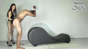 The Suspended Nylon Fuckbitch