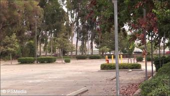 Beccahbutler Cumming In Public Public Orgasm