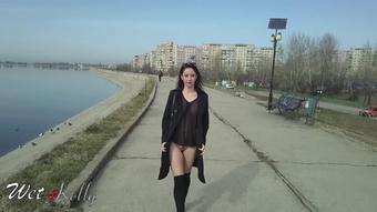 Wet Kelly Flashing In Park