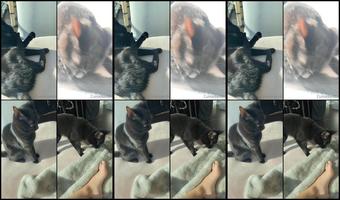 Cumkitten99 06 12 2021 2294290622 Gooooood Morning This Is Our Morning Routine I D Like To Submit My Application Fo