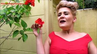 Misswhitneymorgan Whitney Morgan Stop And Sneeze The Flowers