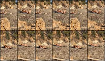 Mysexymodel 31 05 2022 2183155280 Summer Dream I Was Tanning On A Far Beach Alone With No People Around I Got In The Mood