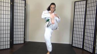 ROXANNE RAE'S KARATE KICKS - June 18, 2022