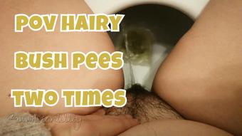 POV Hairy Bush Peeing Twice - February 07, 2024