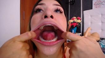 Dildo and Mouth