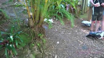 [19]Atkingdom.Atkgirlfriends.Virtual Vacation Hawaii 7-11