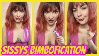 Sissy's Bimbofication, Trash Transformation & Disposal - December 26, 2024