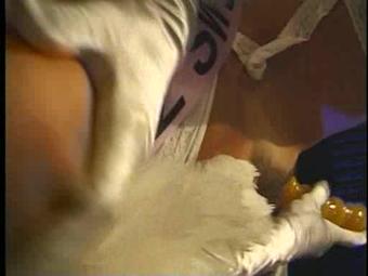 Pussy Pageant Sc1