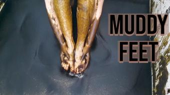 Muddy Feet