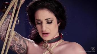 Arabelle Raphael Theupperfloor.Com Gorgeous Fan Girl Uses Big Tits To Get The Final Anal Slave Training 41653 11.07.2017