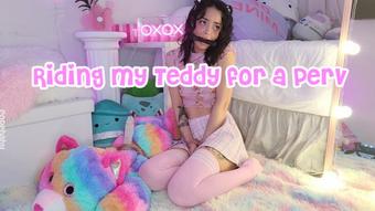 Ropebaby Fucking Teddy Bound And Gagged