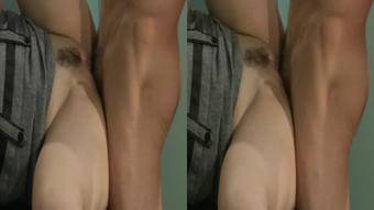 Insubordination 1 - Hot Professor (3D)