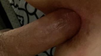 Hollietroyxxx Pov Milf Anal Doggystyle