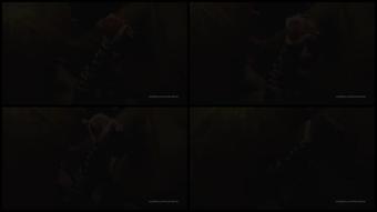 Tvkristina 22 05 2019 33443901 Audio Training Does It Hurt Faggot 40 6 Min Audio Training 41 When You Are My Submissive Co