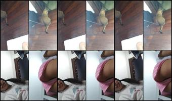 Kitty Catherine 2804 159