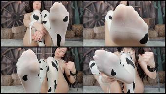 Milk Yourself For Stockings And Feet Joi