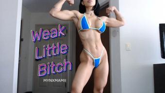 Weak Little Bitch