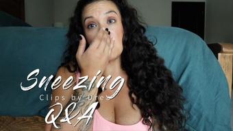 Sneeze Q&A