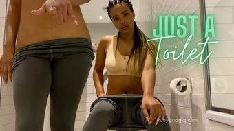 Just A Toilet - January 09, 2023