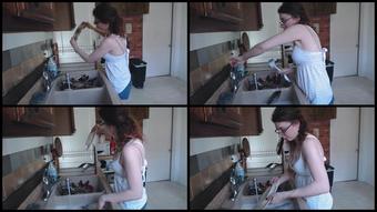 Canadiansammy Sammy Does The Dishes 2015 12 16