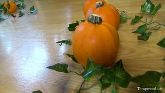 Temptress Lux - Is It A Trick Or Treat