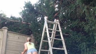 Move Up The Garden Ladder!