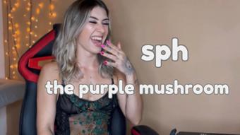 sph - the purple bubble - Mar 24, 2023