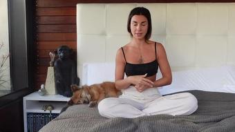 Doggy Tutorial - Sex Advice with Roxy Fox