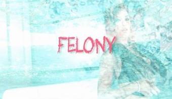 Felony Slutty Squirters, Scene