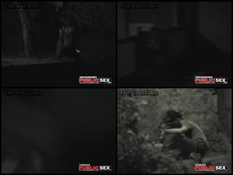 Night Watching 115