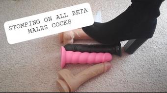 Stomping on all beta male cocks - January 29, 2021