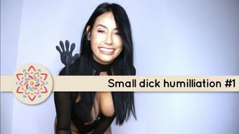 Small dick humilliation #1