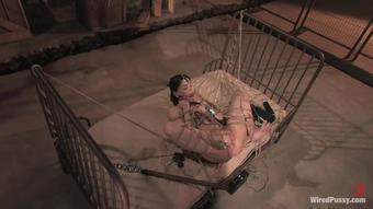 Wired Pussy 6714