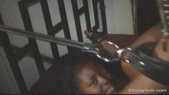 Cbwhip2.Wmv