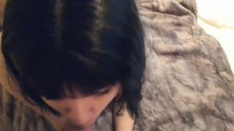 2019.02.06 02.31
