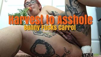 Kezia420 Harvest To Asshole Bunny Fucks Carrot