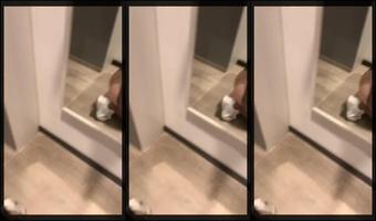 A Guy Fucks A Naughty Bitch In A Fitting Room - 1440P