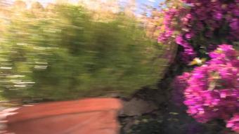 2009-05-26 [Watch4Beauty] Fataga