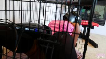 Subbiecupcake Submissive Strapped Made To Cum
