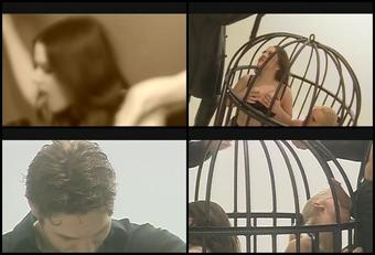 Caged Sex Sc2
