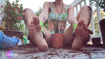 Gardening With Goddess II - August 20, 2020