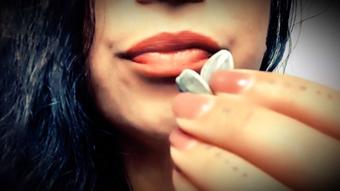 Sunflower Seed ASMR
