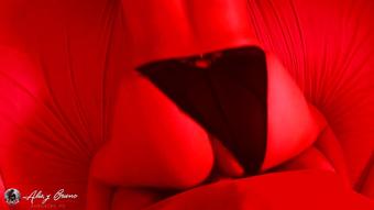 Confined - Part I (Spanish)