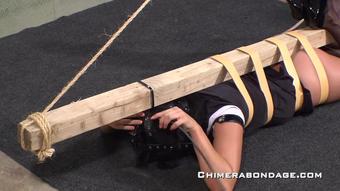 2011_Cl_01_300