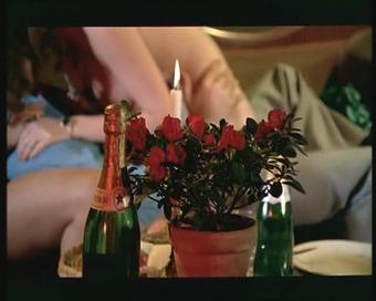 Brigitte Lahaie Wild Pleasures (1976) Sc3