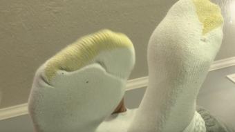 Kendra Allure Finds Ant Person In Shoe