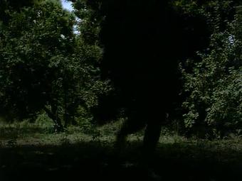 Homo Erectus Scene 2